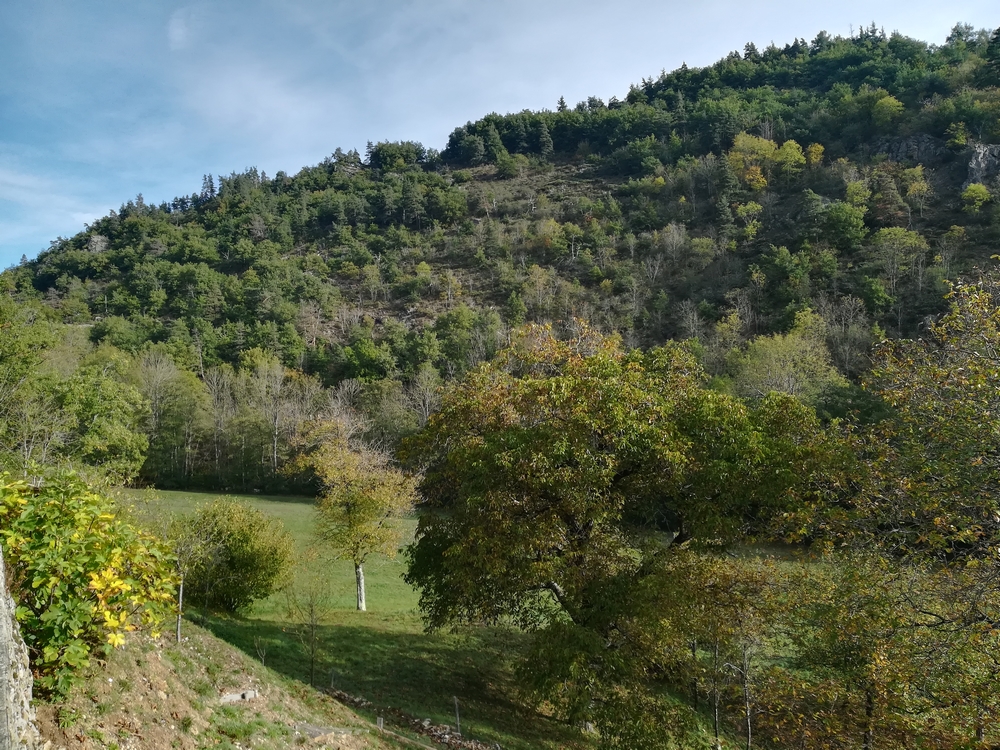 Annexe IMG_20191027_094810.jpg