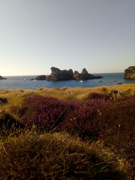 Annexe biodiversité.jpg