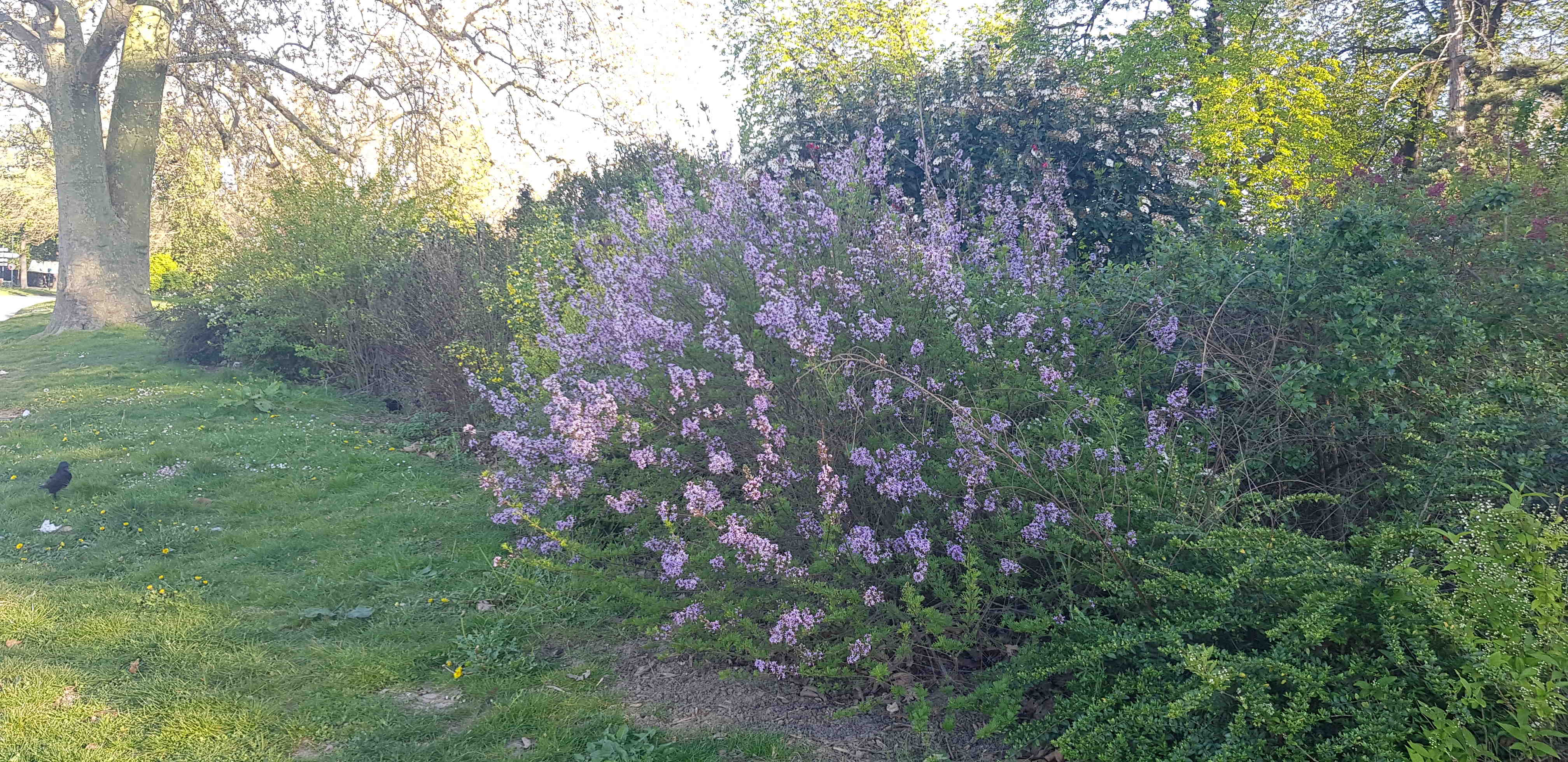 Annexe 20200405_184425g.jpg