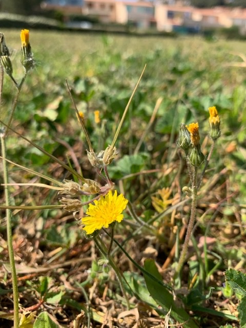 Annexe 65BA3DB4-DE29-4227-863F-4D6AD931B513.jpeg