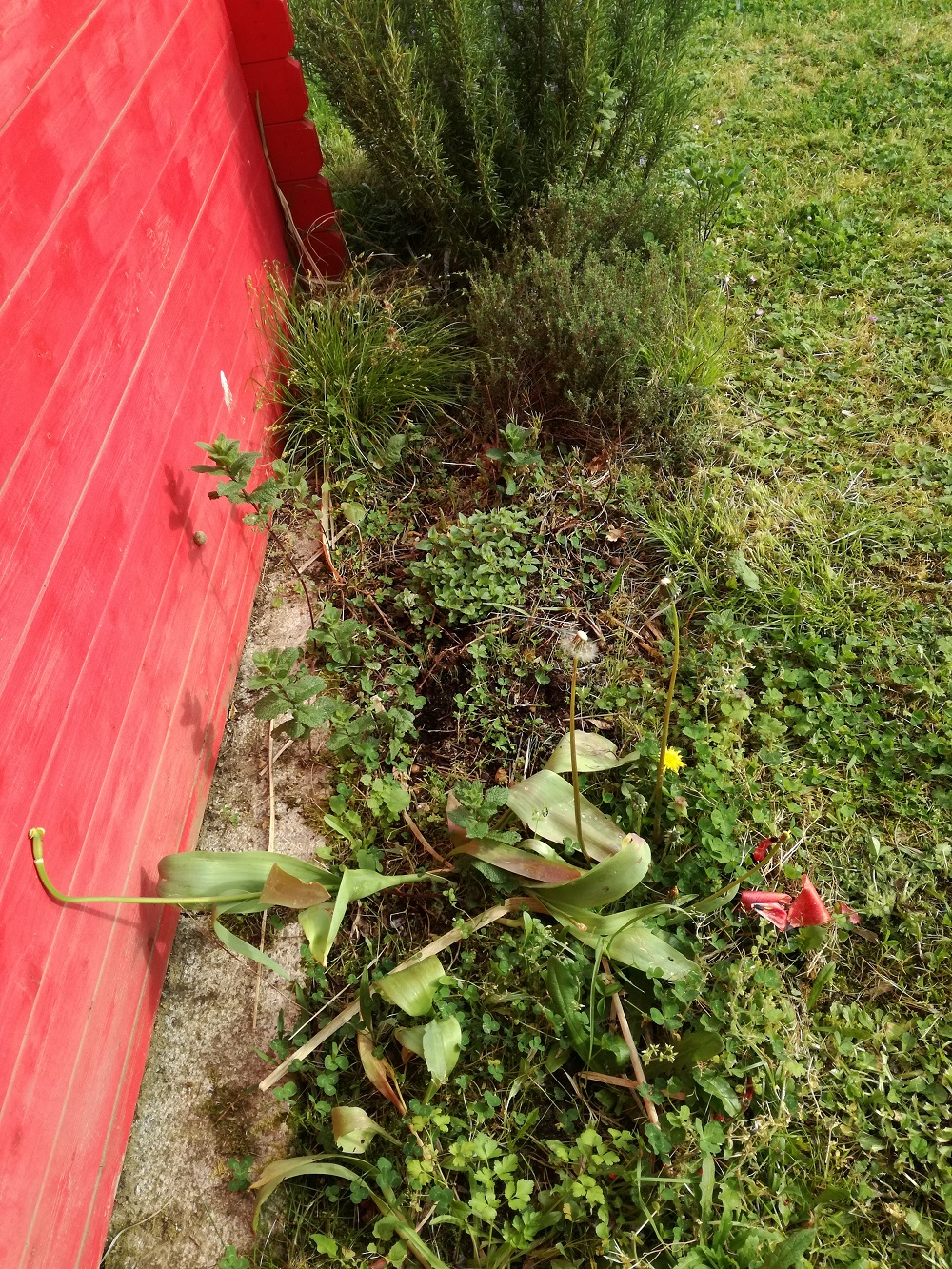 Annexe IMG_20200408_102018.jpg