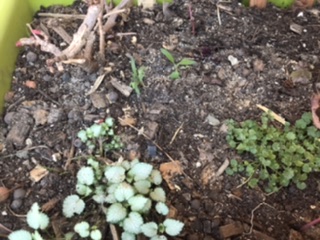 Annexe 9F4EDB96-4460-4691-B569-64A6EE16B133.jpeg