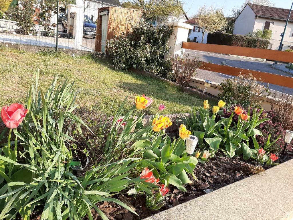 Annexe 20200408_182126.jpg