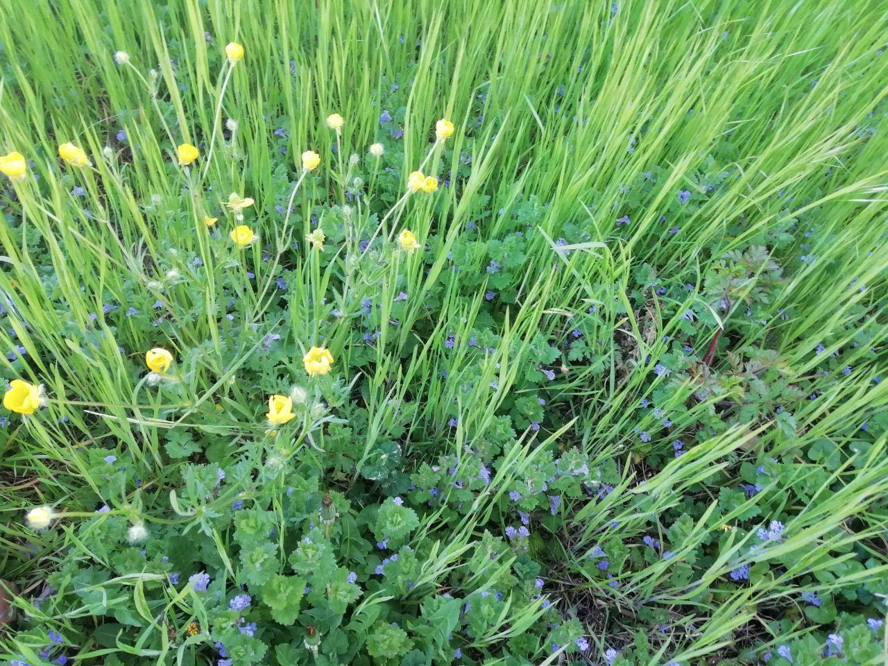 Annexe photo_2020-04-08_18-33-08.jpg