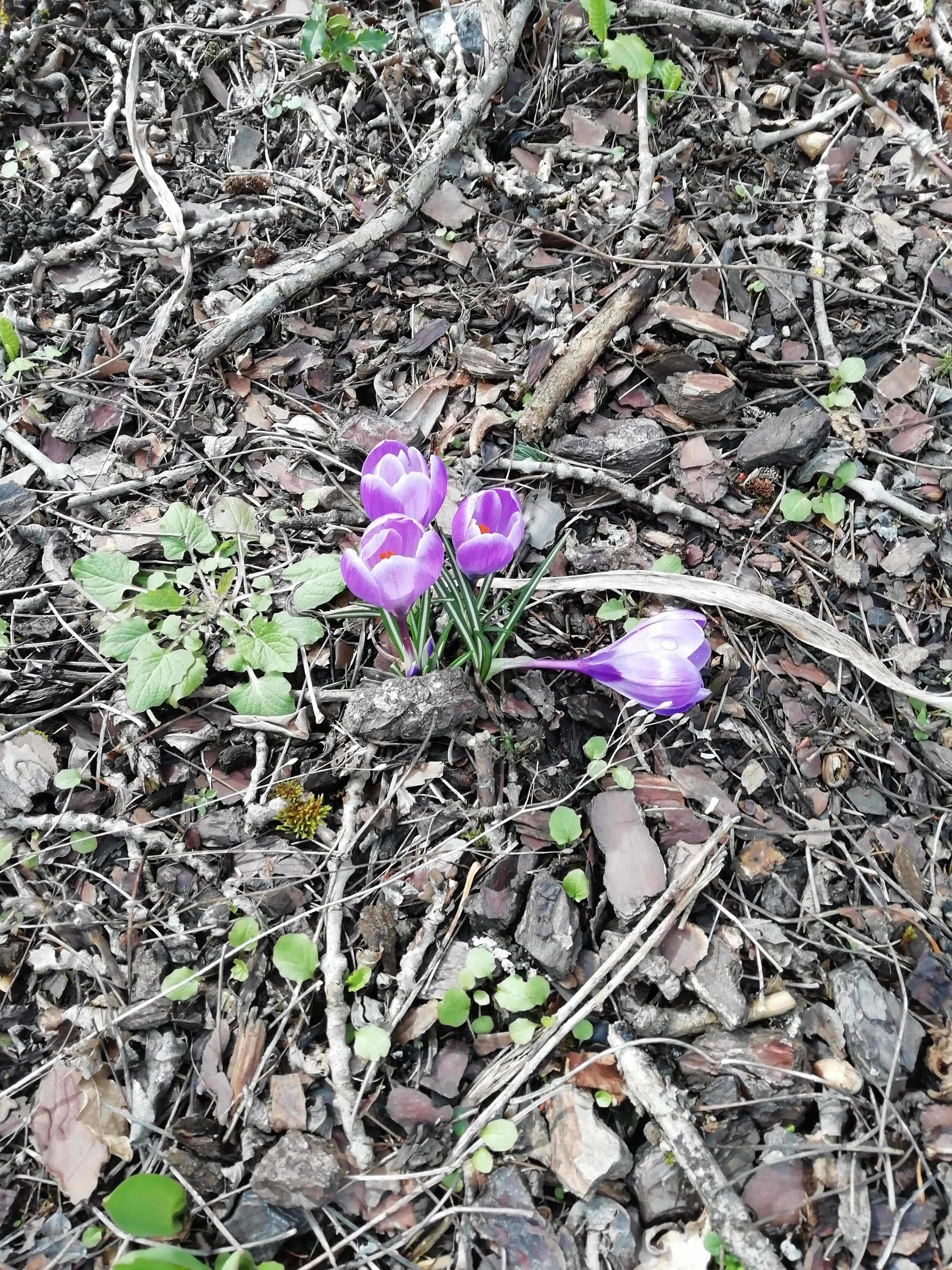 Annexe image-4e661070-c282-4609-a720-cae009bf6f1f7611552049341476774[1]-min.jpg