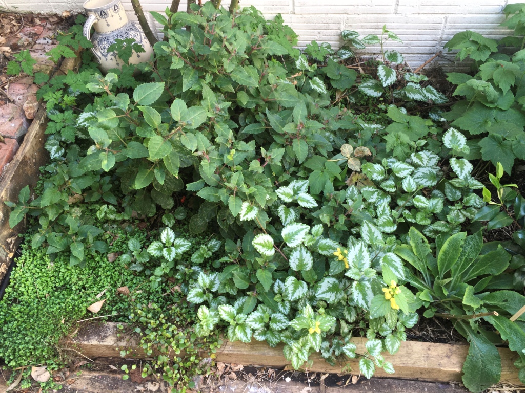 Annexe biodiversité.JPG