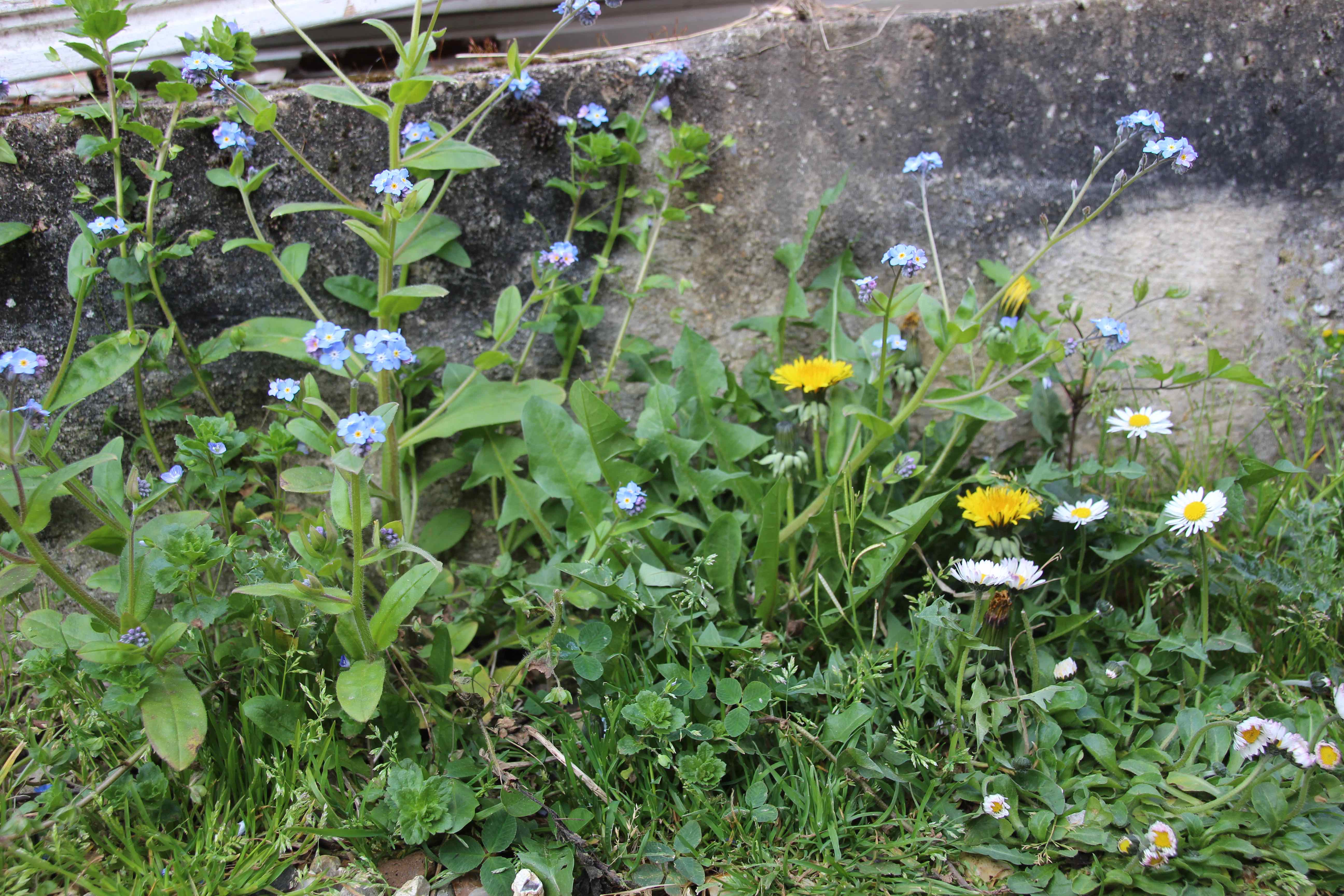 Annexe IMG_5854 - copie.jpg