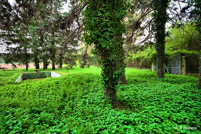 Annexe 13666731765_bedca6e043_w.jpg