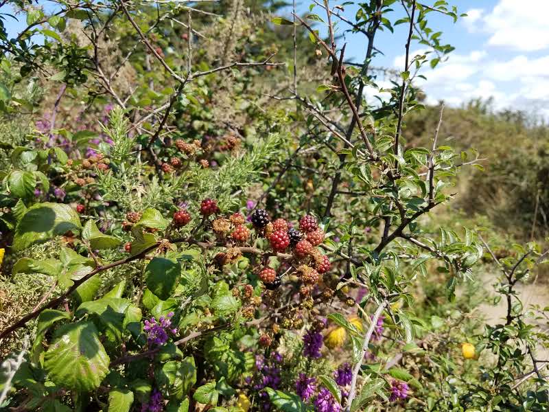 Annexe 20190802_133804.jpg