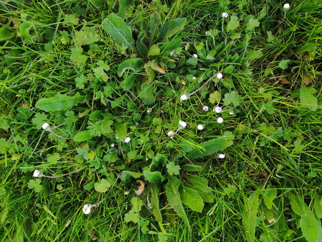 Annexe IMG_20200410_093013_redim.jpg