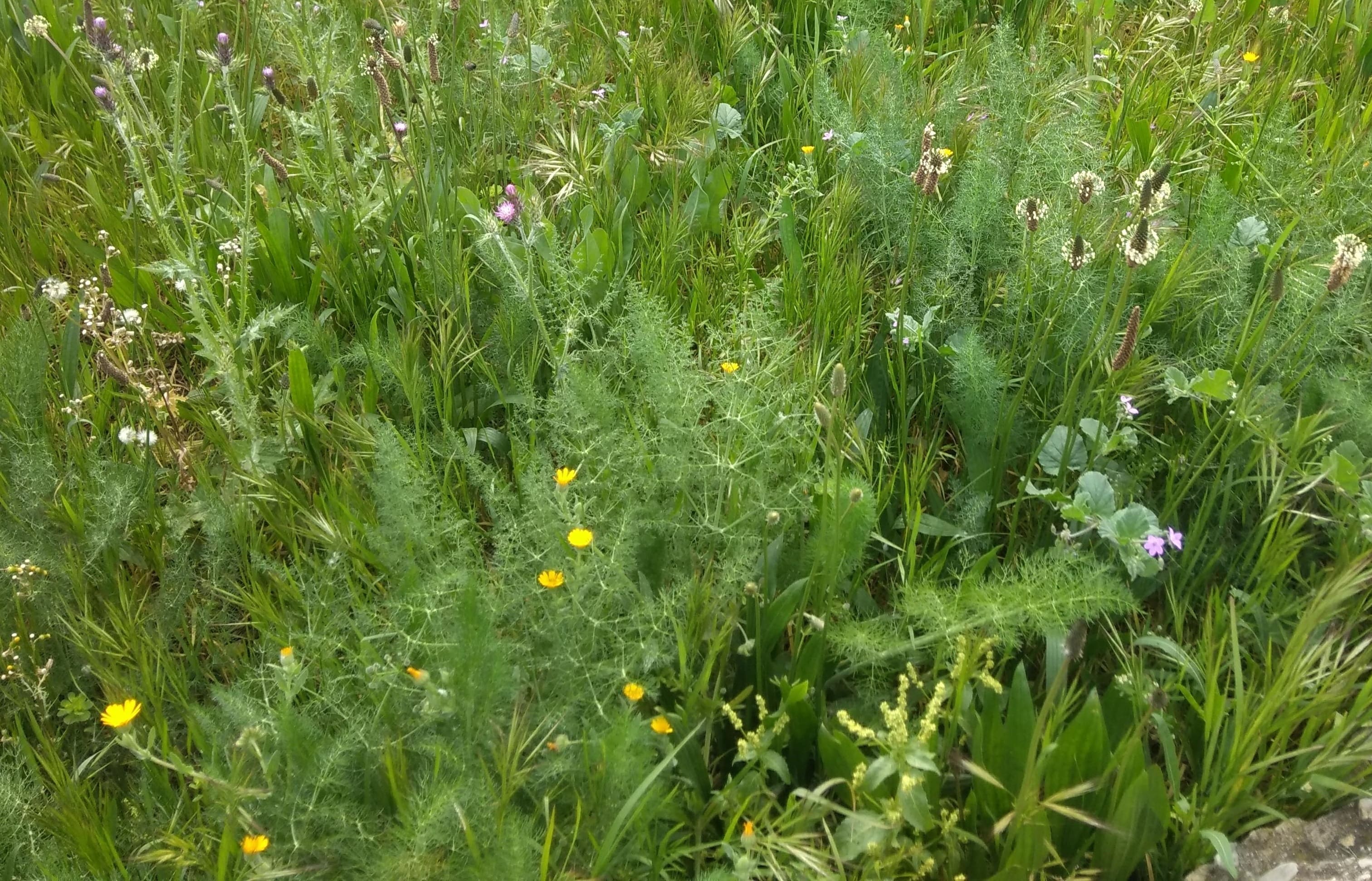 Annexe IMG_20200317_112327-min(1).jpg