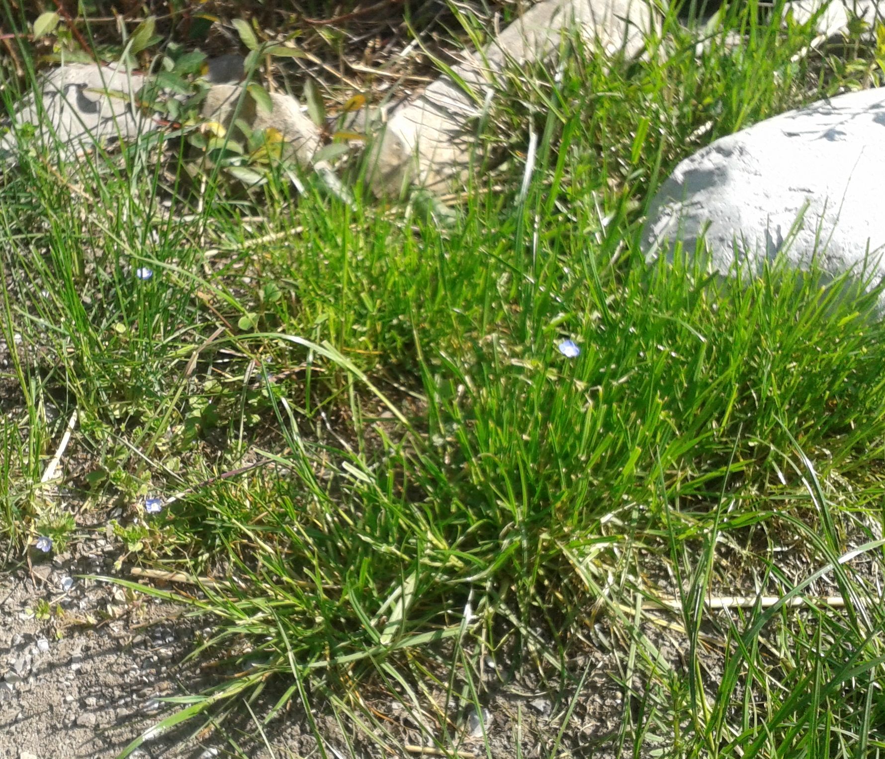 Annexe 20200410_160319.jpg