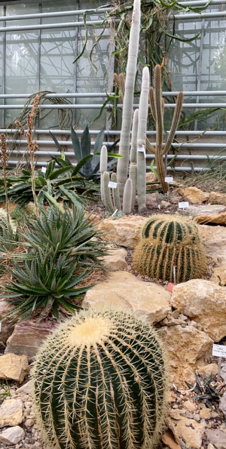 Annexe IMG_0214 (1).JPG