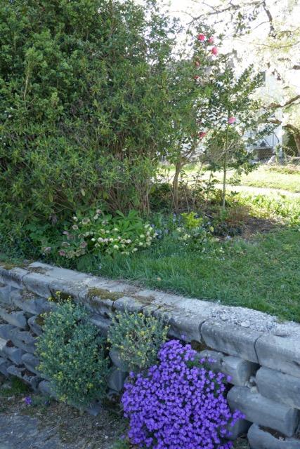 Annexe P1010603.jpeg