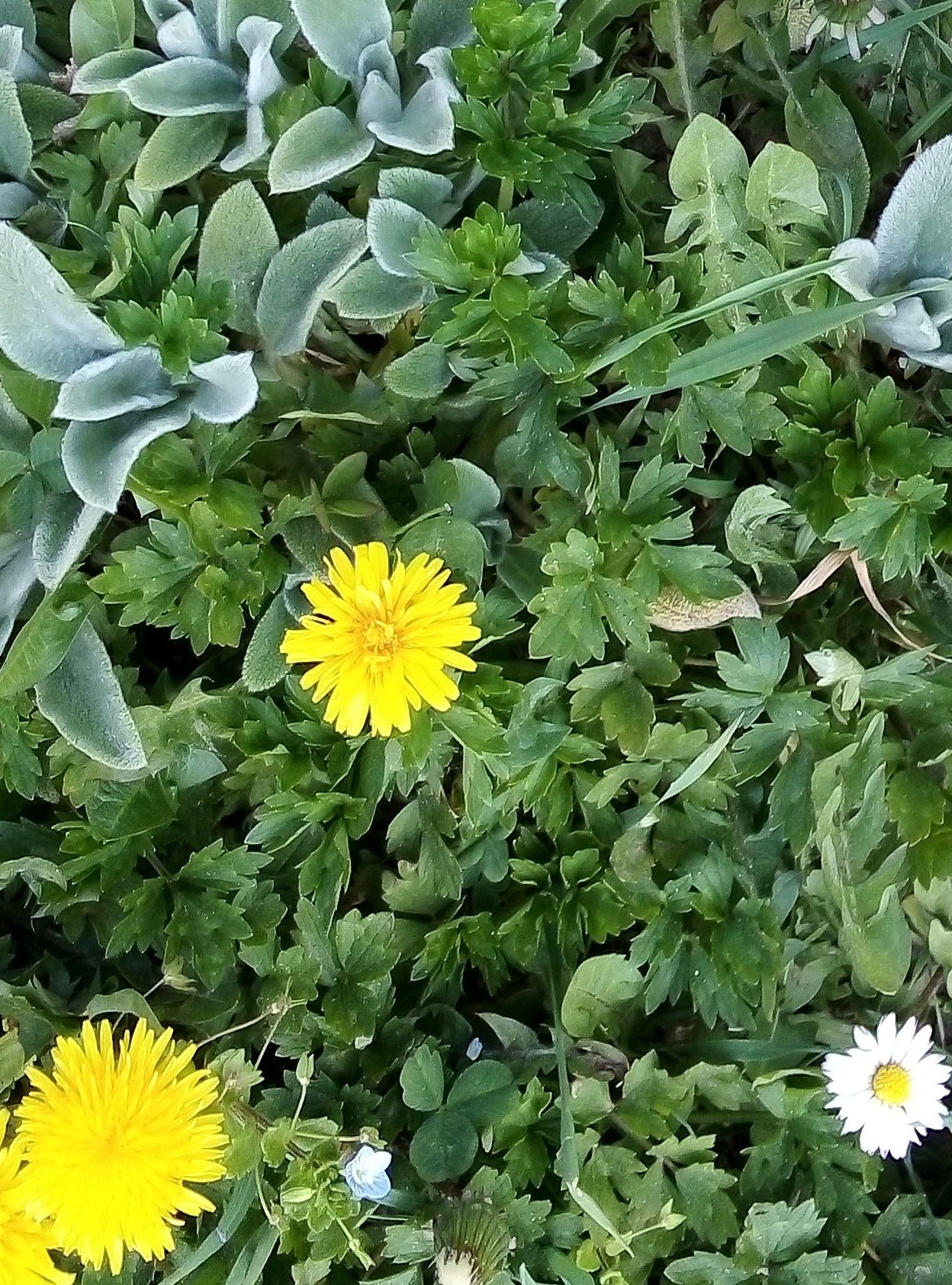 Annexe IMG_20200410_180157.jpg