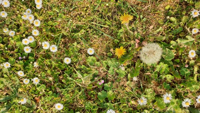 Annexe acti2 20200410_173323.jpg