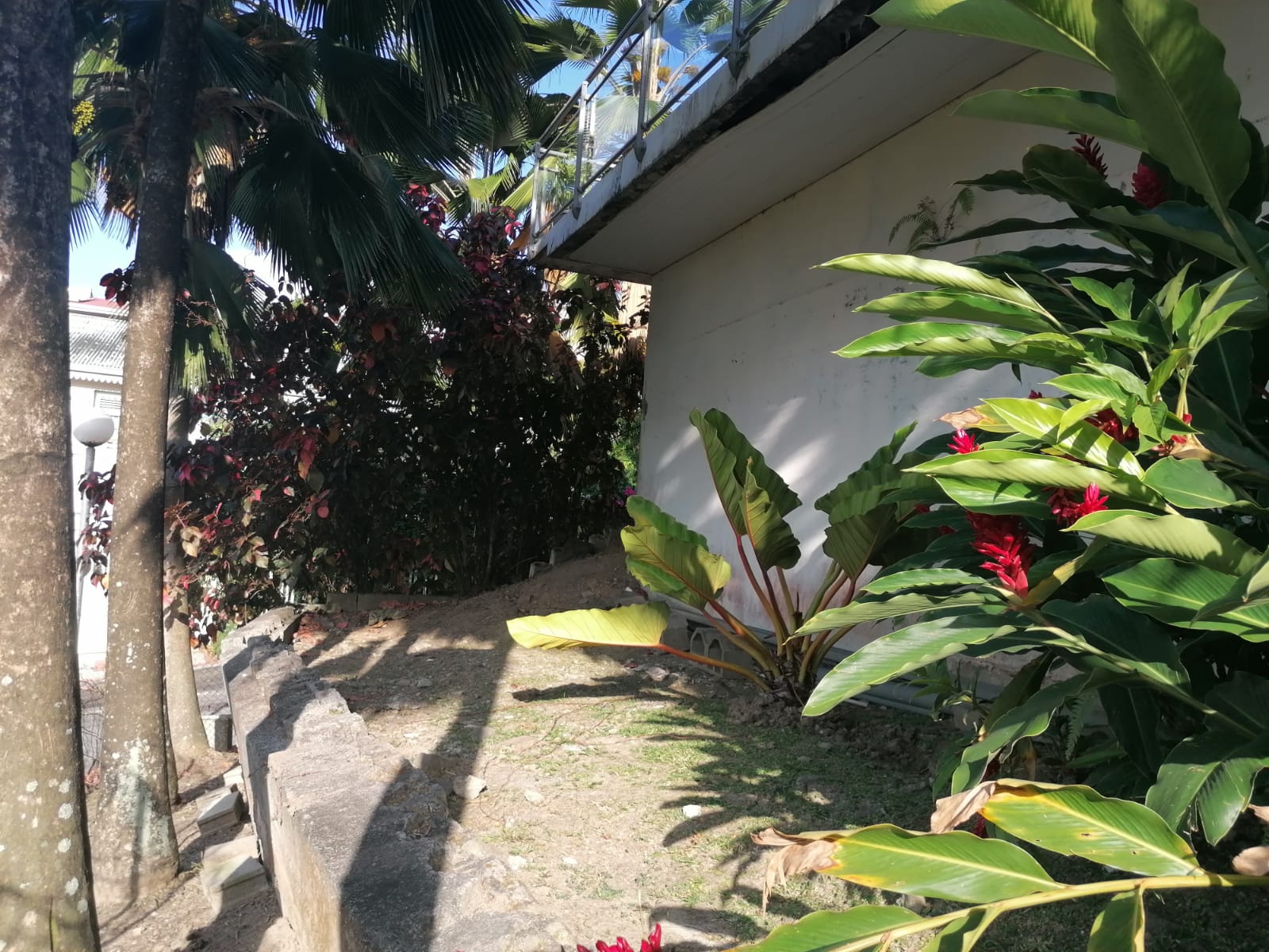 Annexe 5E414441-3849-4BCB-9E5F-19E50F10D510.jpeg