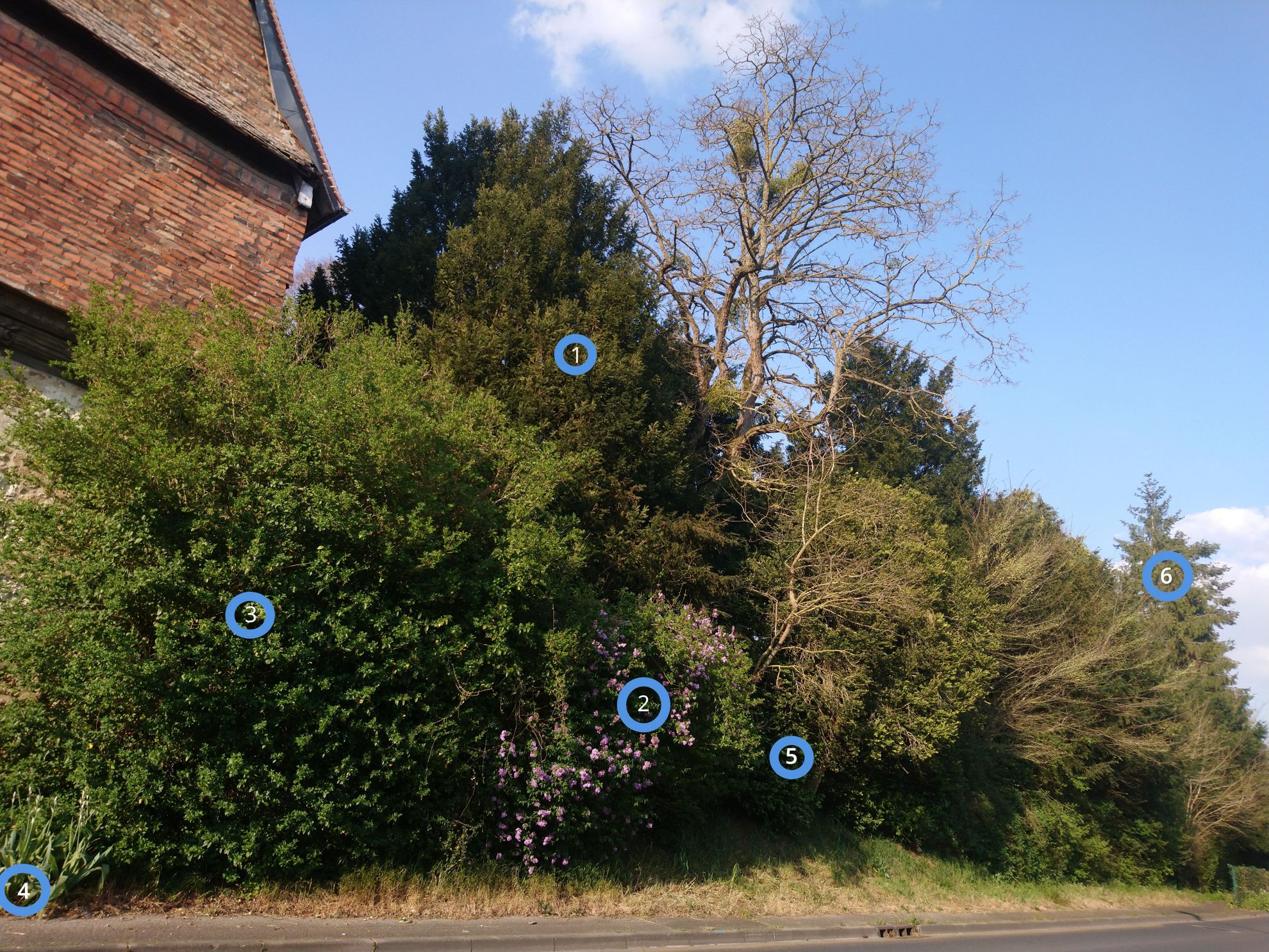 Annexe Photo diversité.jpg