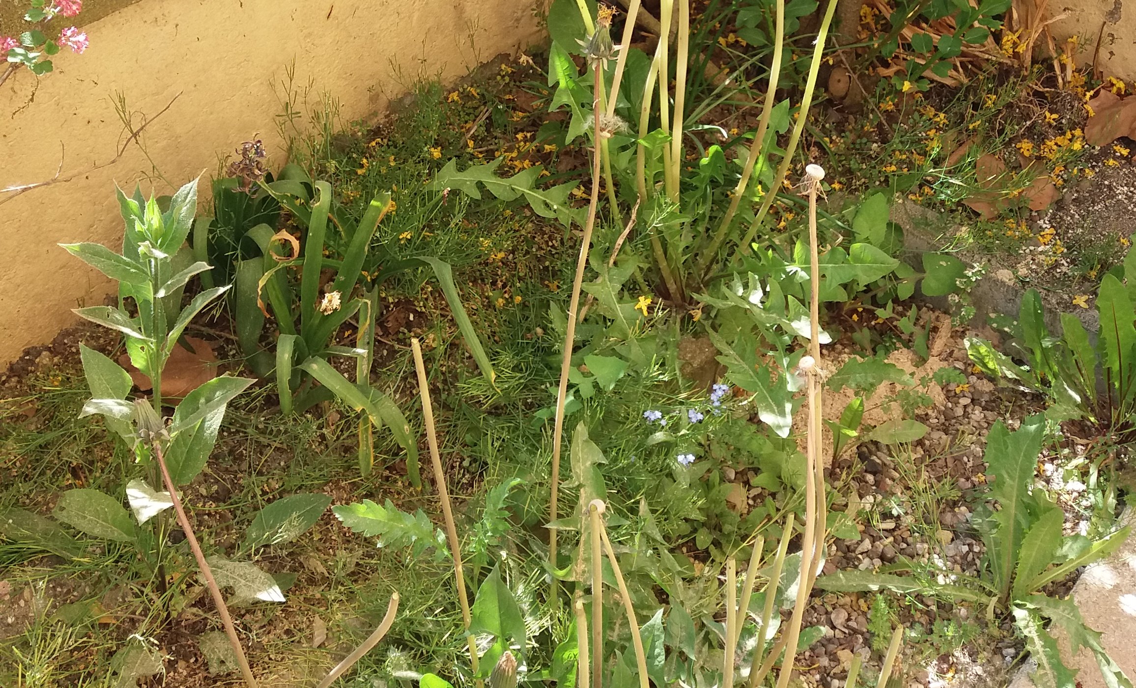 Annexe 20200411_160940.jpg