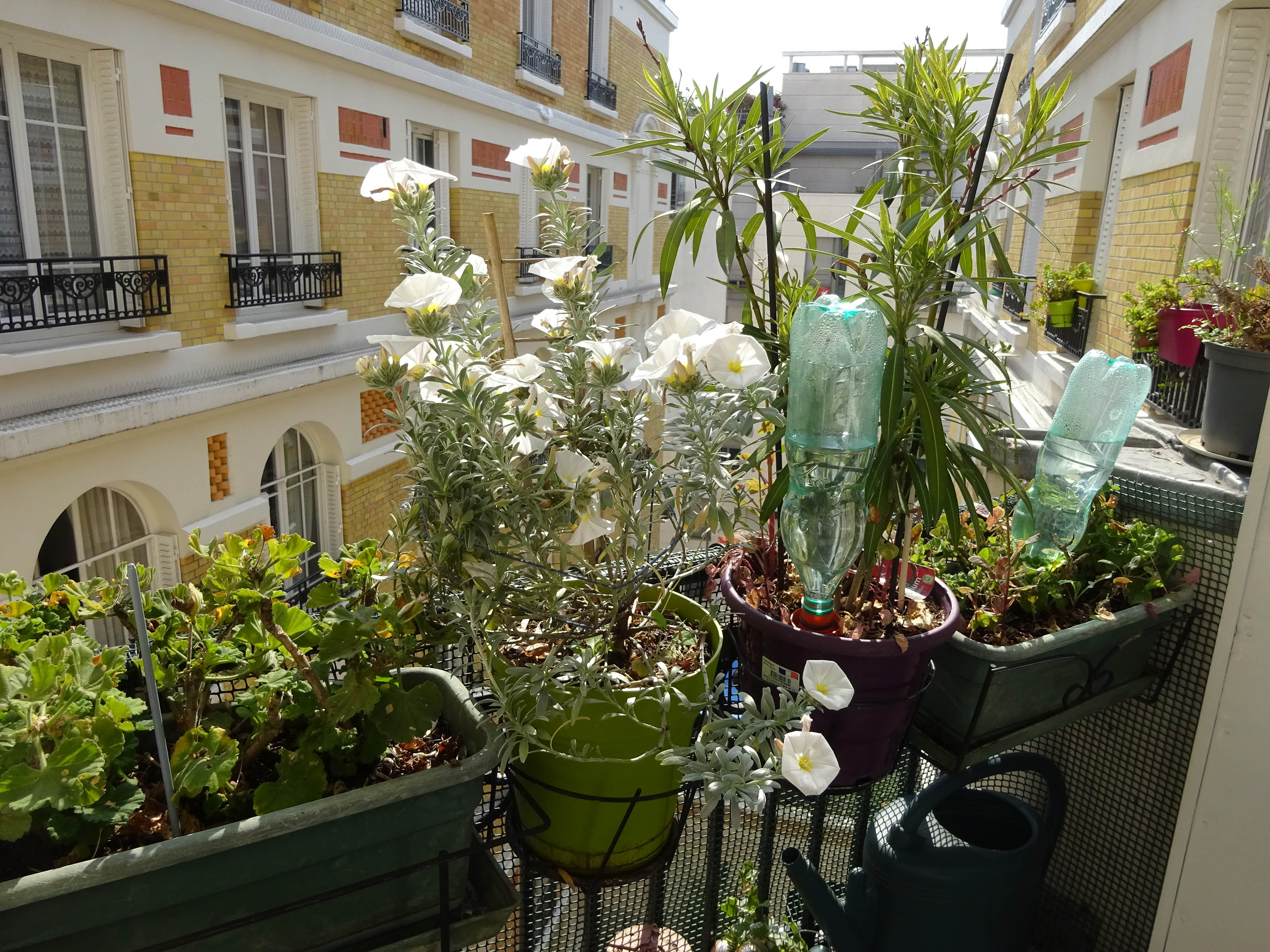 Annexe DSC02121 copie.jpg