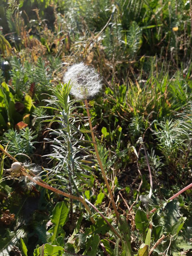 Annexe 1586619885112.JPEG