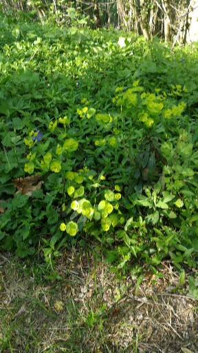 Annexe 1586538933973.jpg