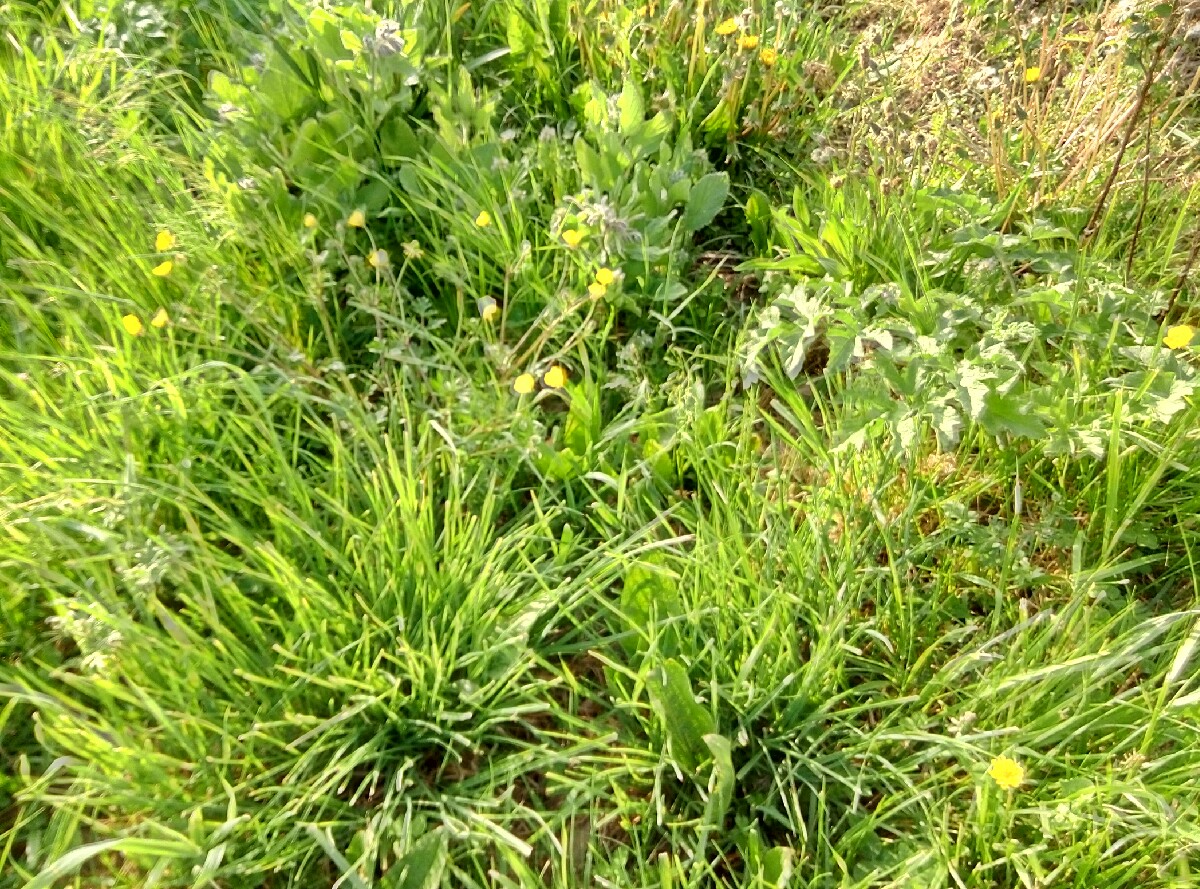 Annexe P00412-093340.jpg