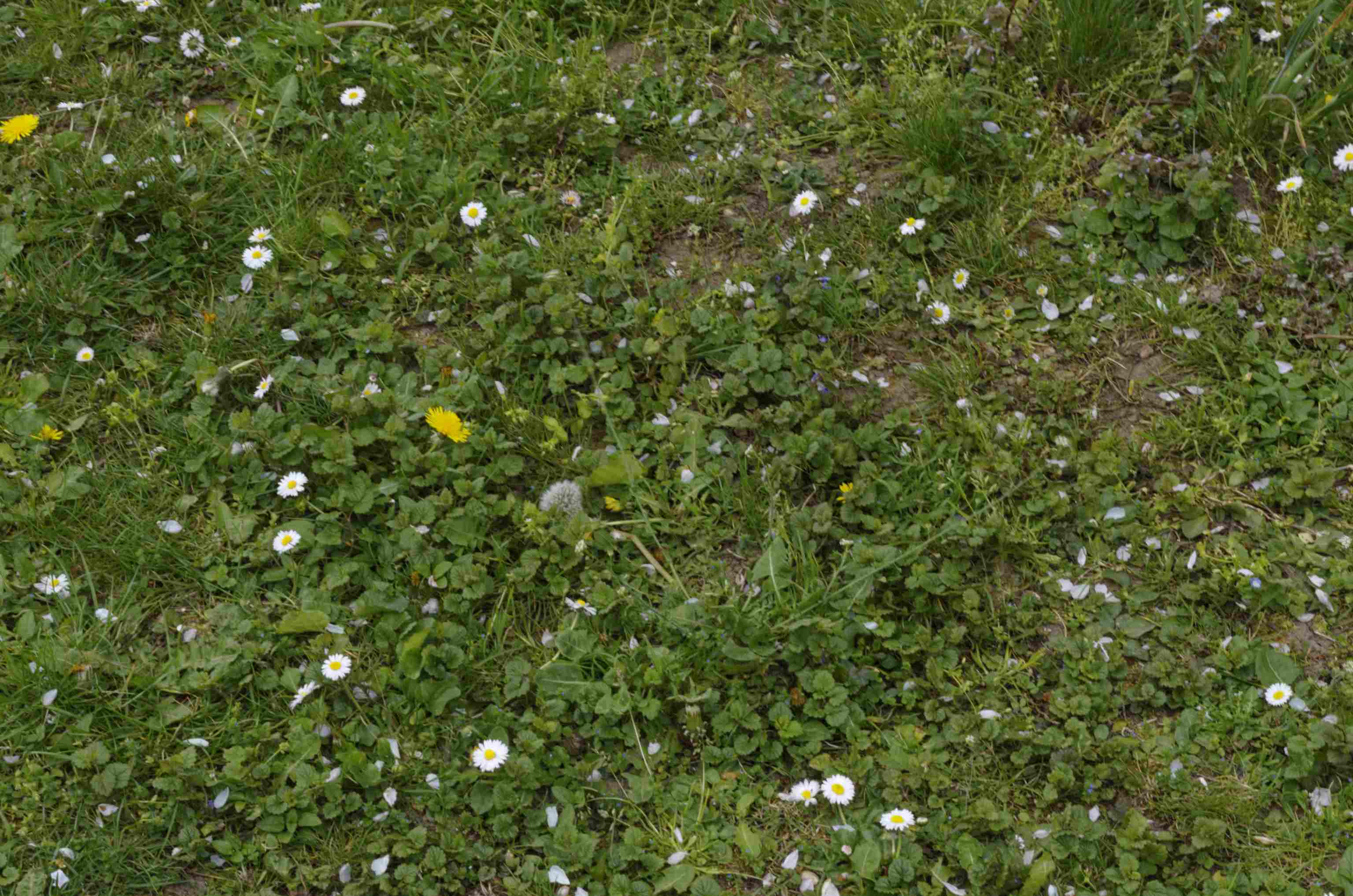 Annexe _IGP9953 (3072X2035).jpg