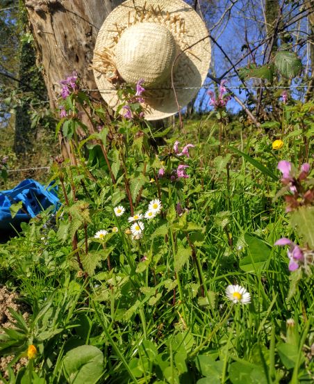 Annexe IMG_20200328_171248-1.jpg