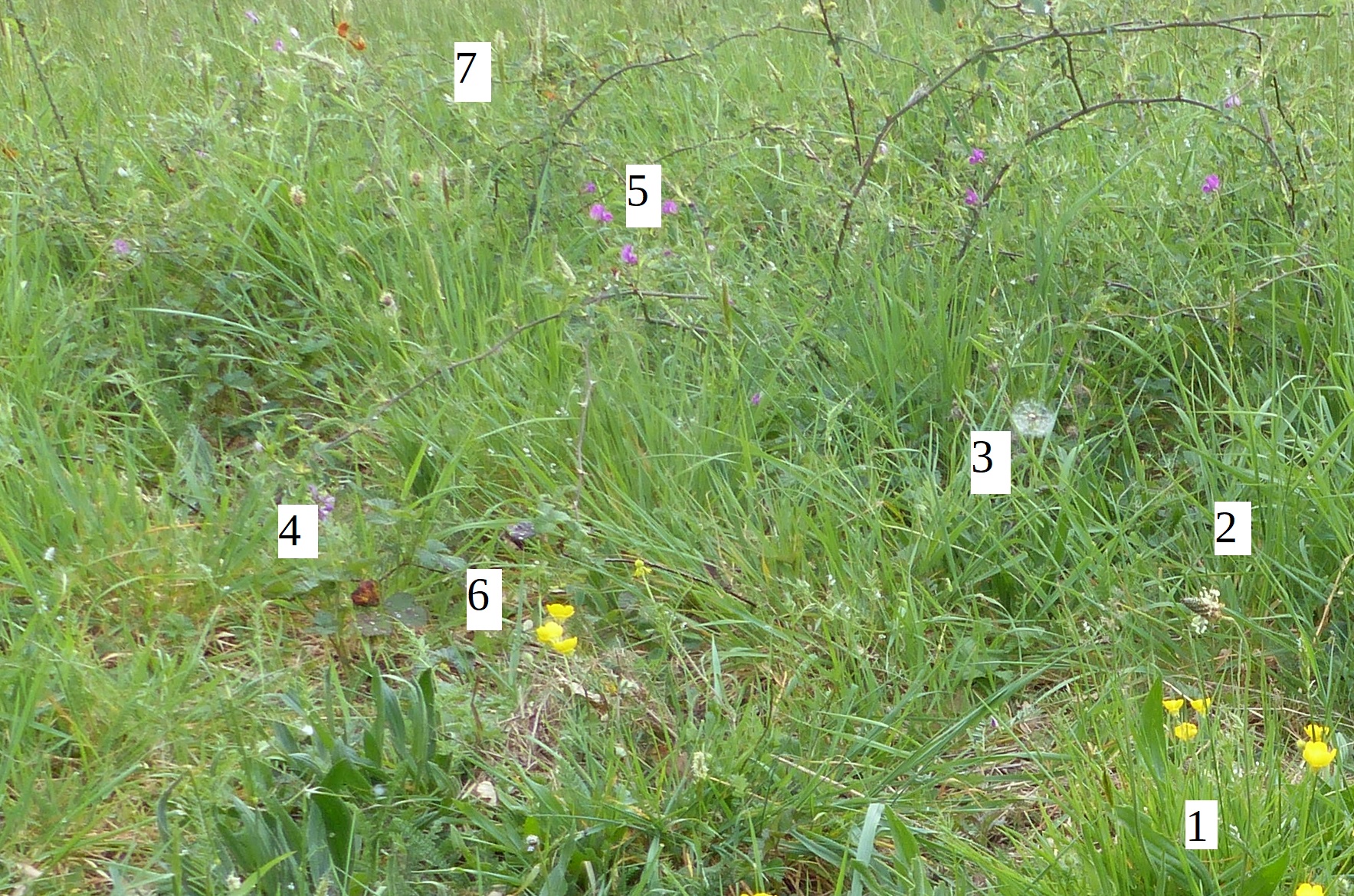 Annexe Biodiversité tarnaise.JPG