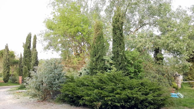 Annexe 20200412_181928.jpg