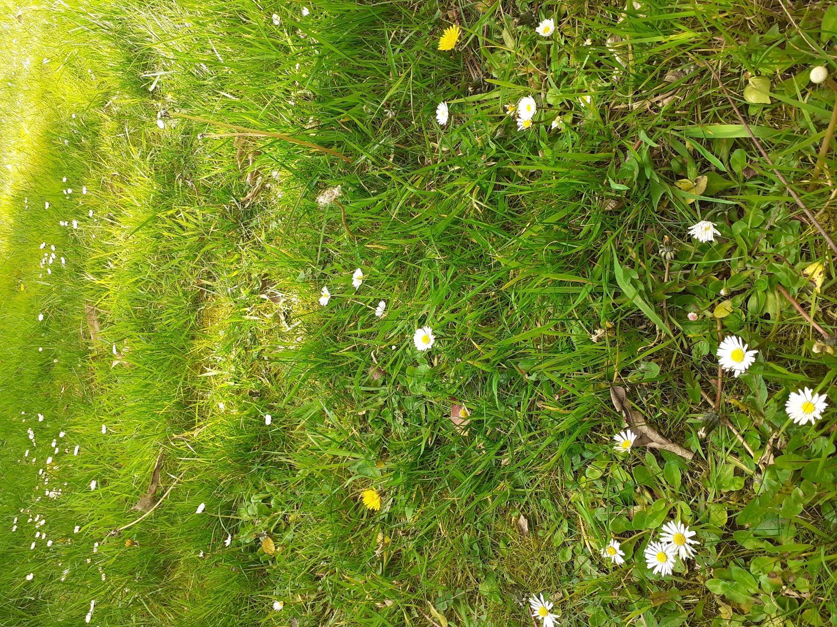 Annexe Biodiversité .jpeg