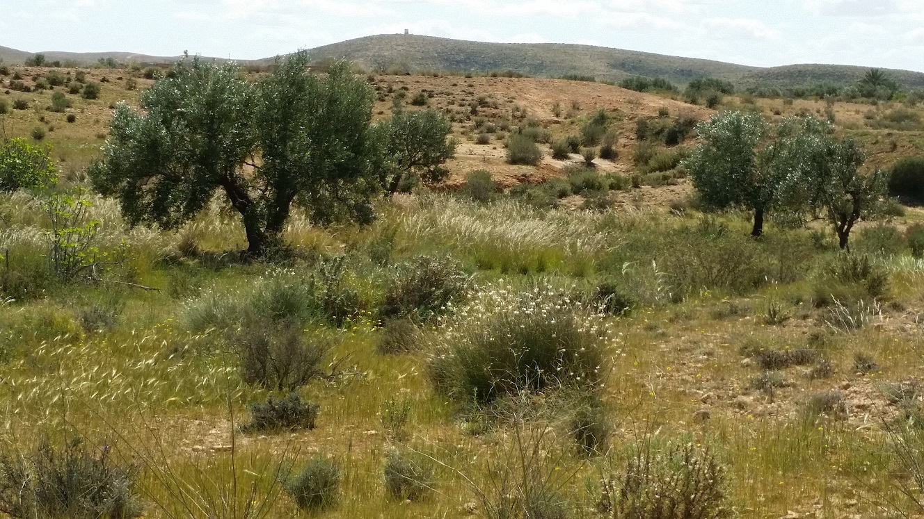 Annexe 20200311_121927.jpg