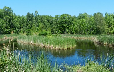 Annexe photo paysage.jpg