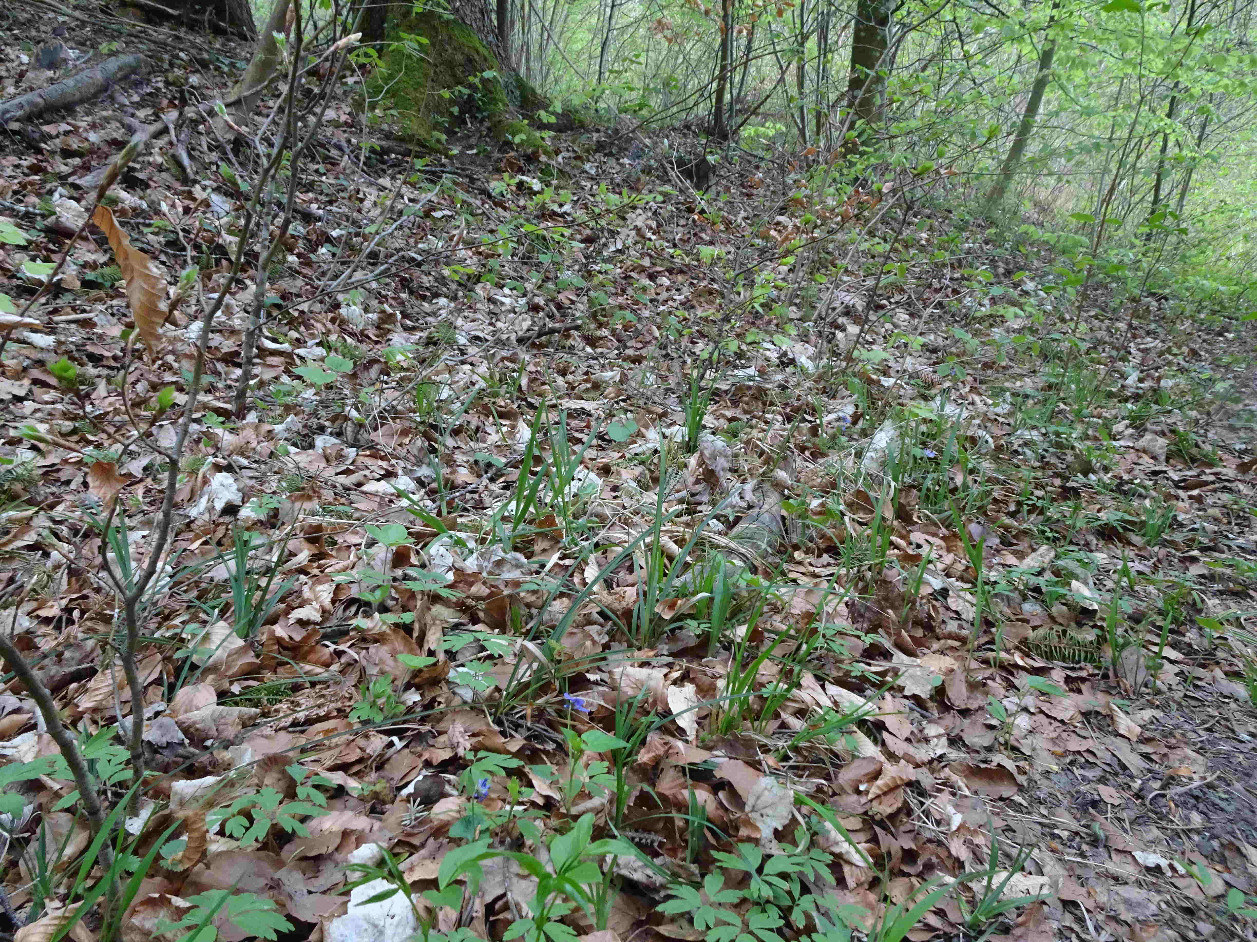 Annexe resolution small.jpg