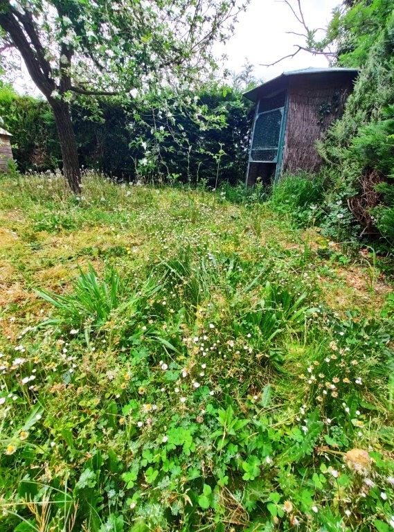 Annexe IMG_20200413_101449.jpg