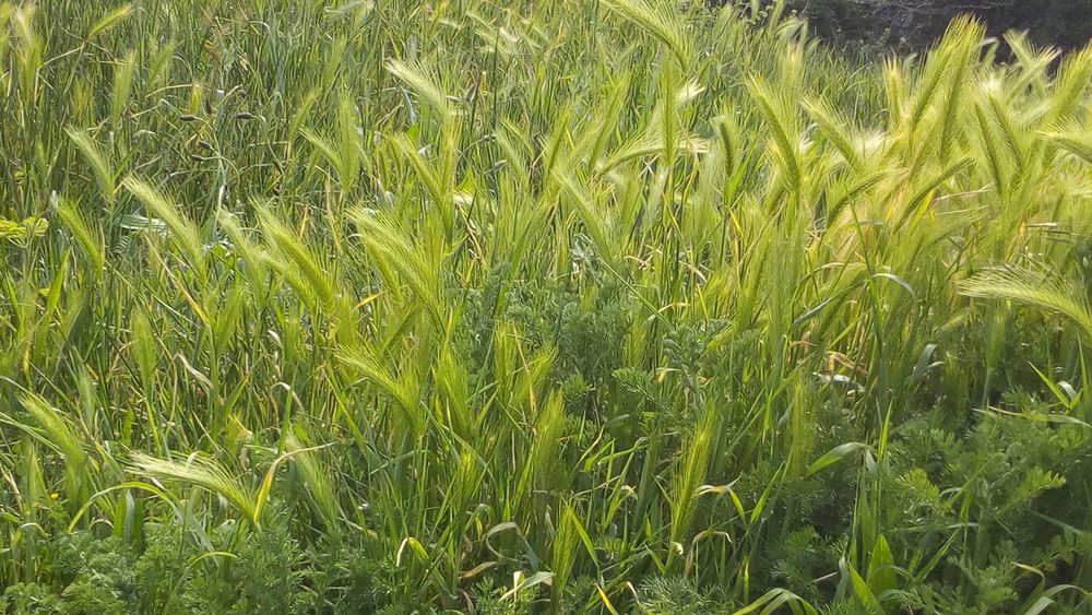 Annexe activité1.jpg