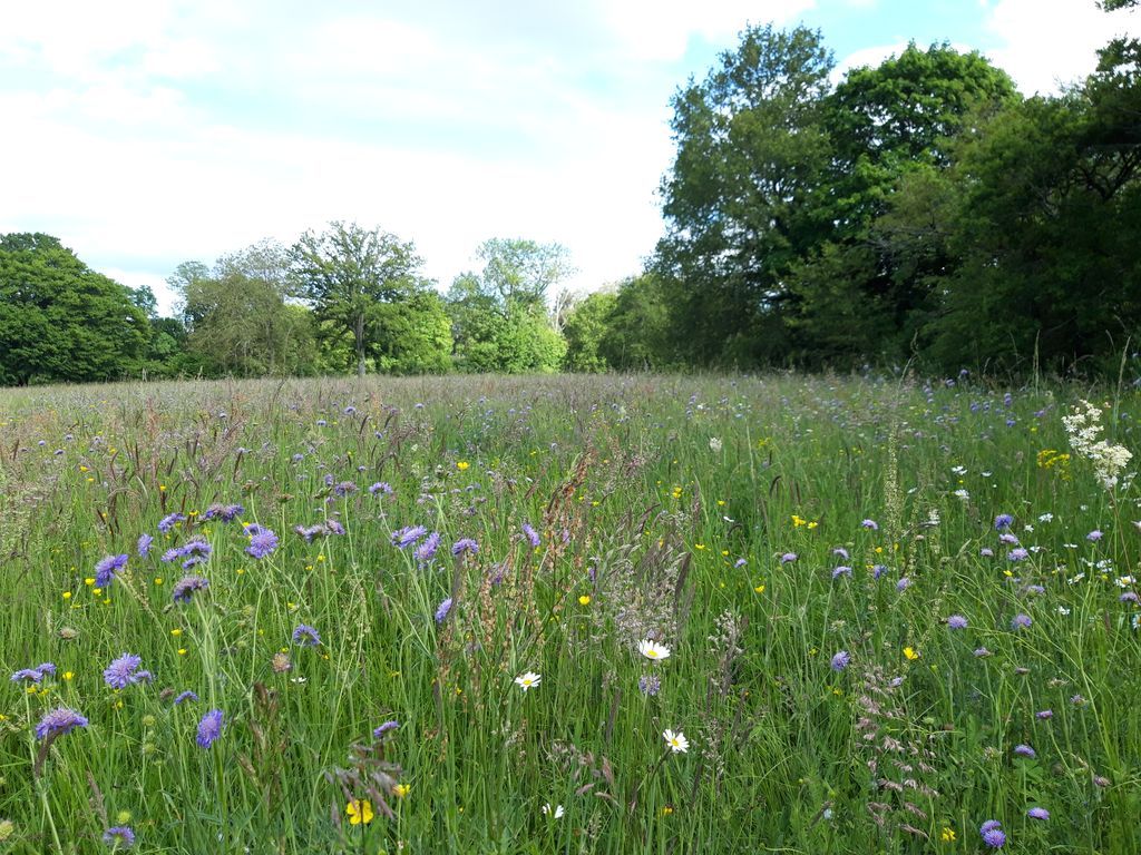 Annexe 20190530_Bords de Creuse.jpg