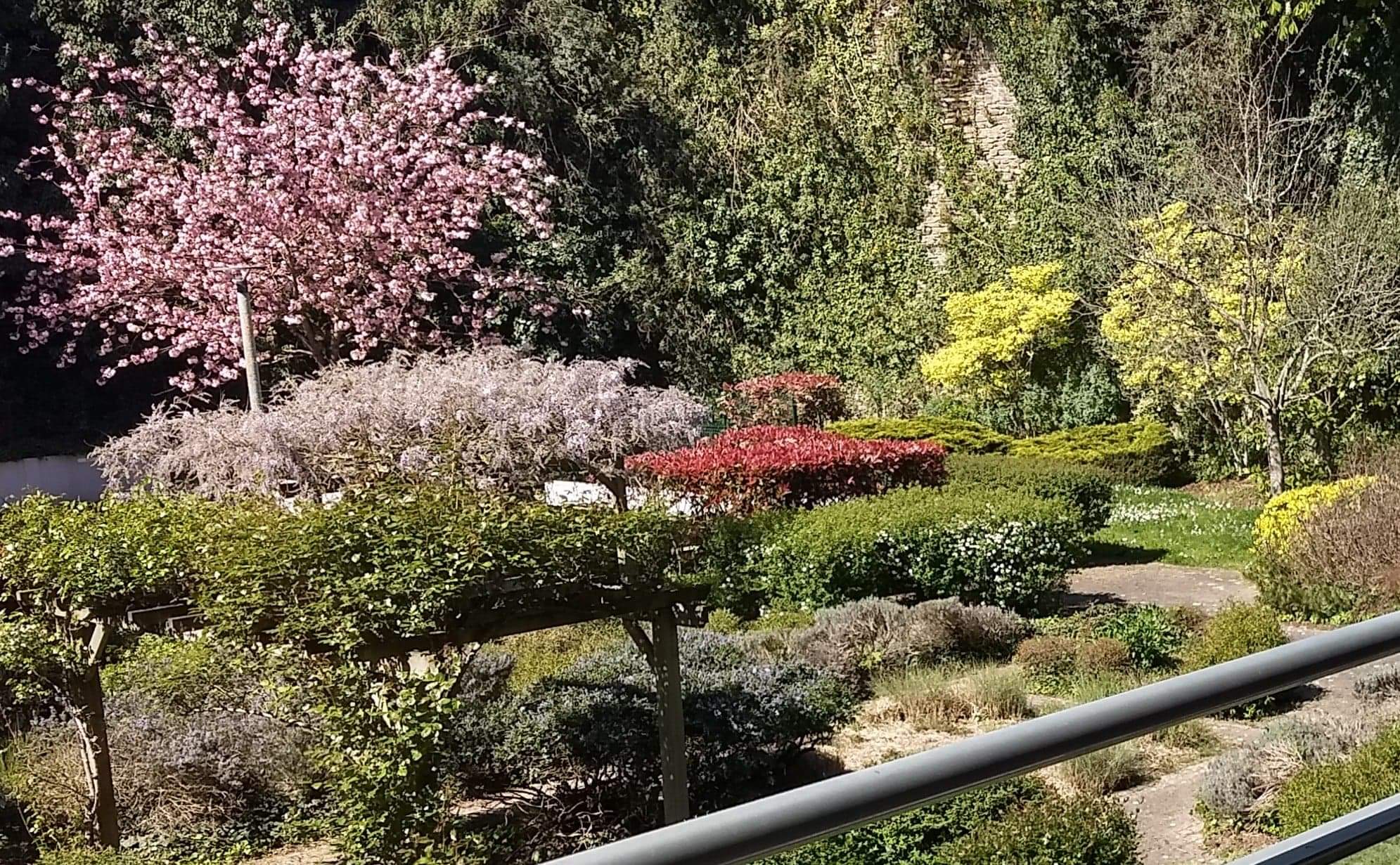 Annexe Biodiversité.jpeg