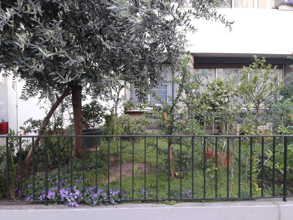 Annexe 20200413_172250.jpg