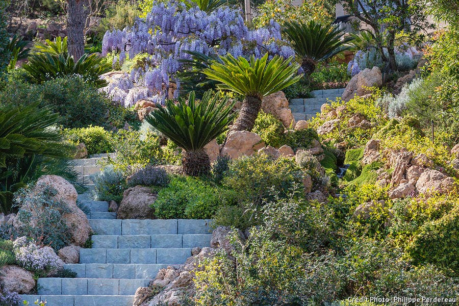 Annexe djweb_jeanmus_pperdereau_2.jpg