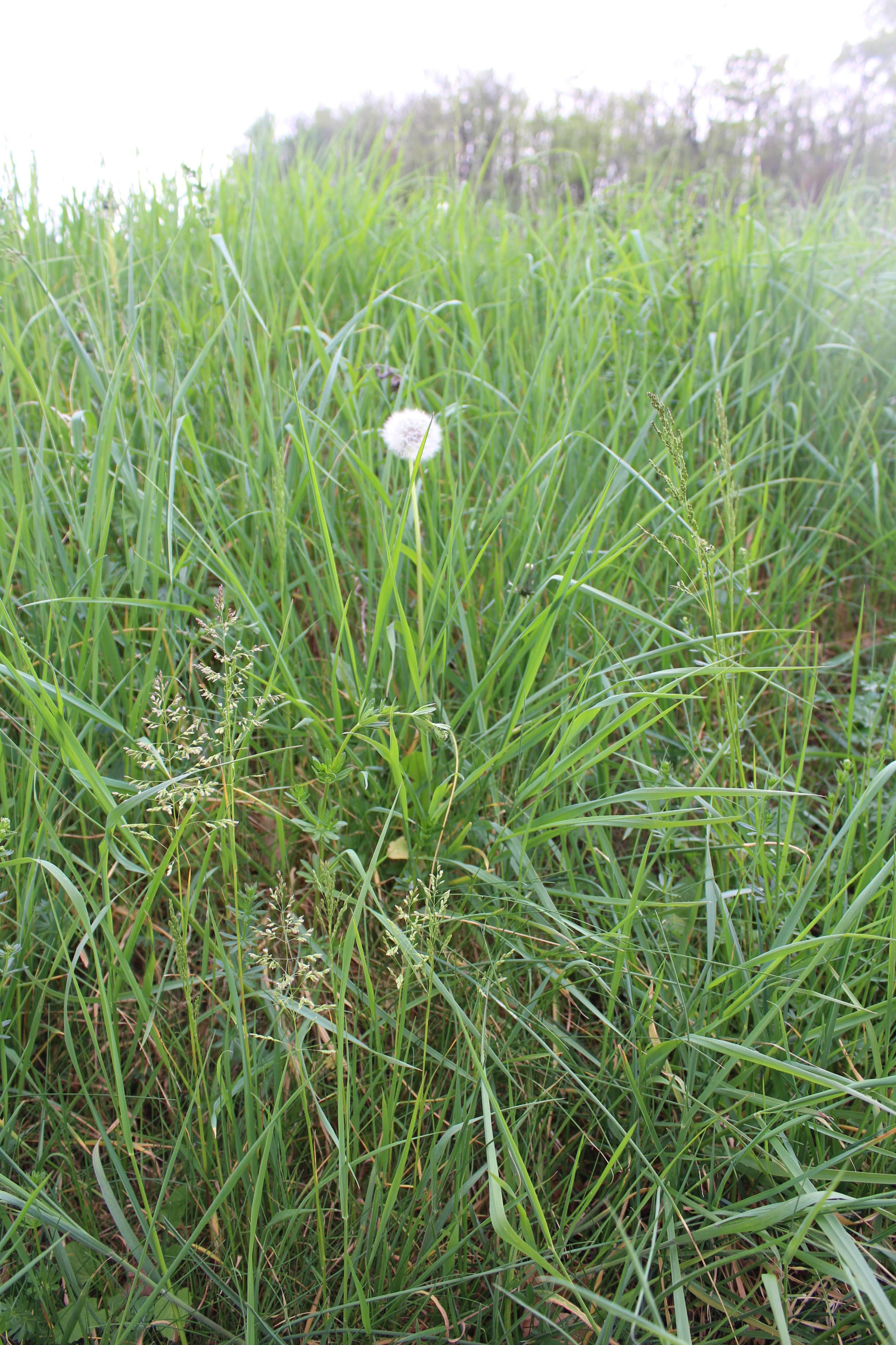 Annexe IMG_5838-min.JPG