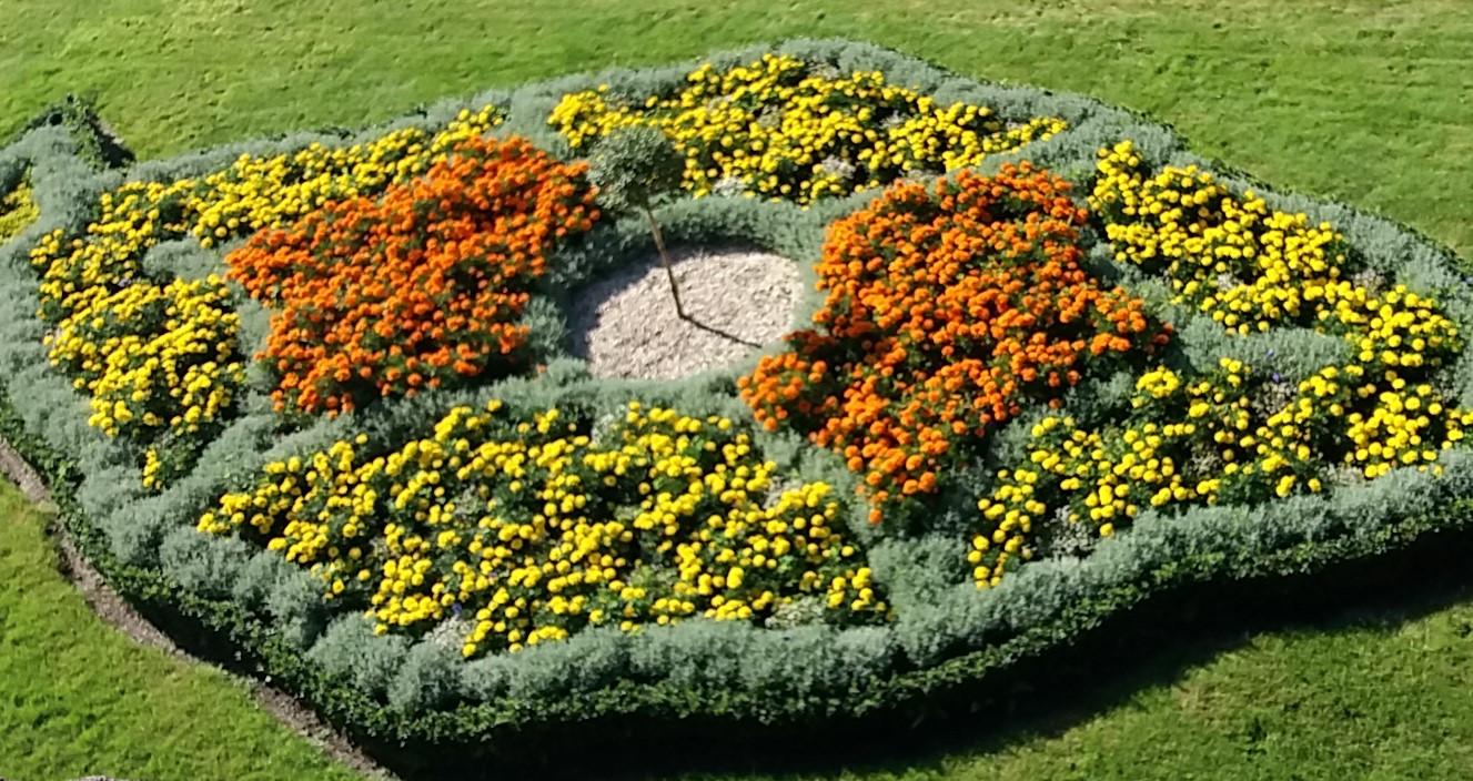 Annexe photos fleurs Vannes.jpg