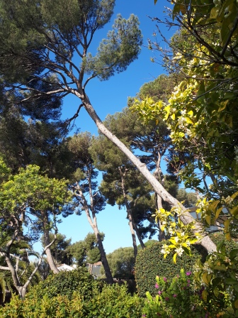 Annexe 20200405_094706-2.jpg