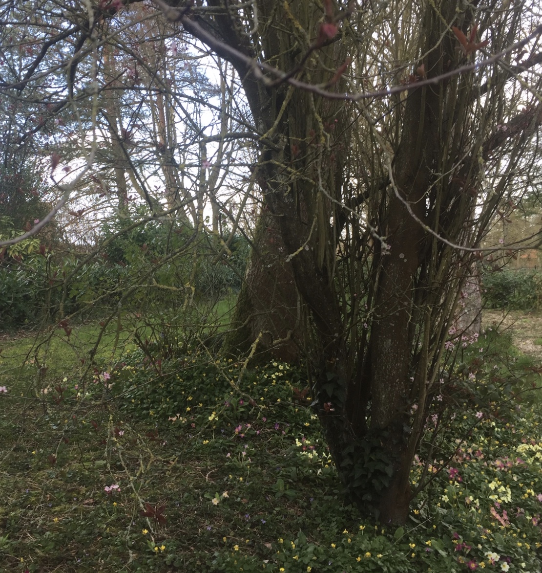 Annexe fullsizeoutput_b.jpeg