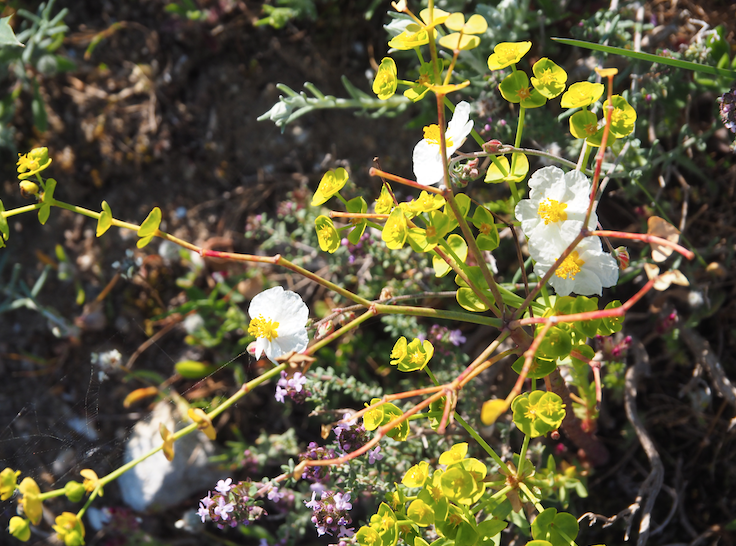 Annexe Screenshot 2020-04-14 16.12.18.png