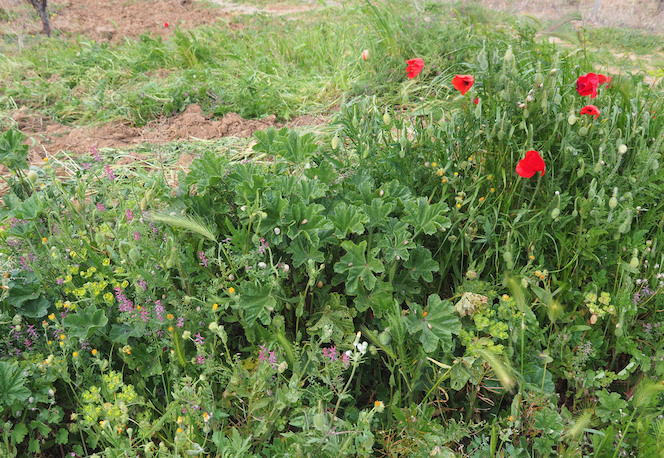 Annexe Screenshot 2020-04-14 16.18.49.png