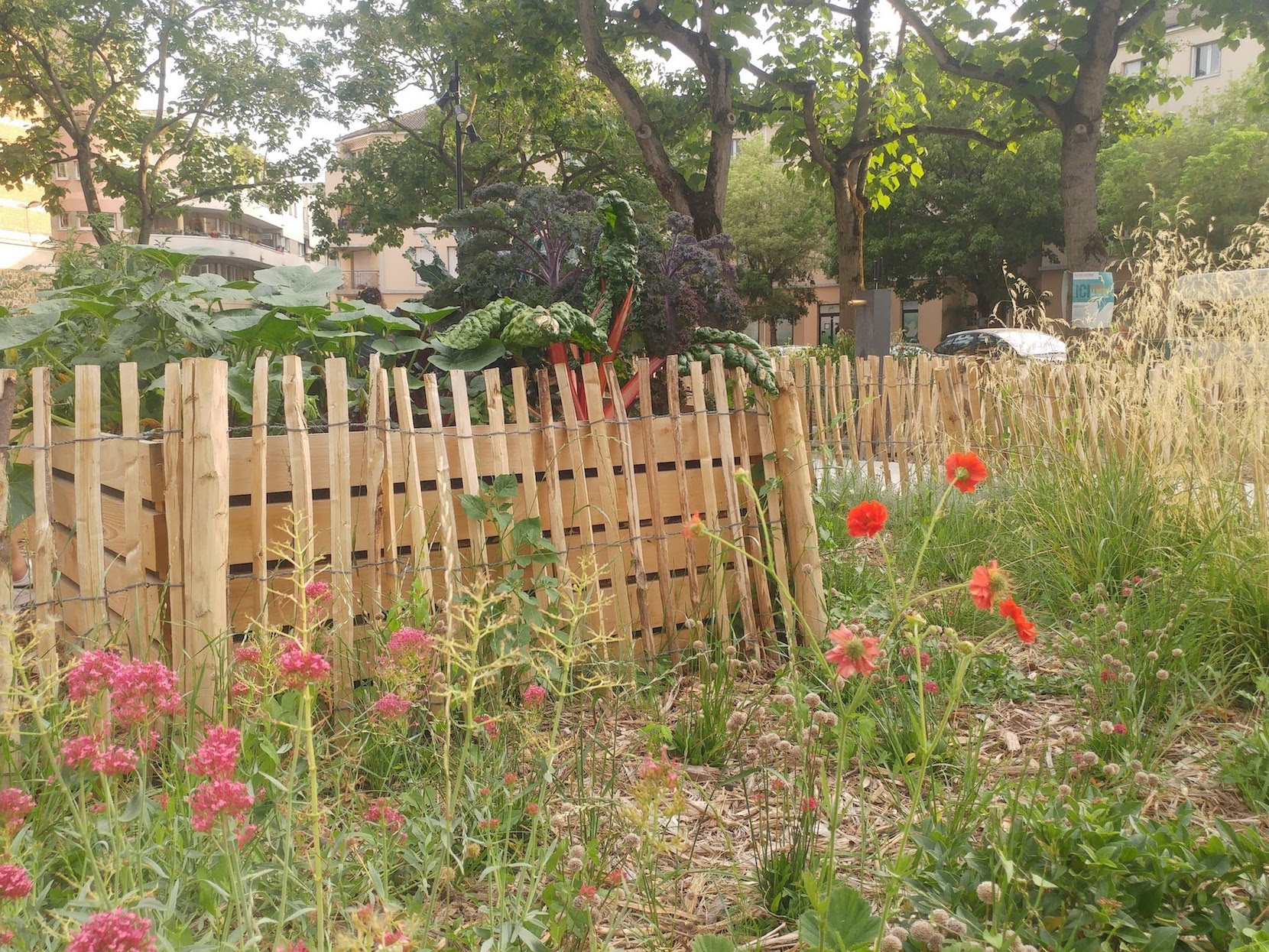 Annexe 20190711_200953_HDR.jpg