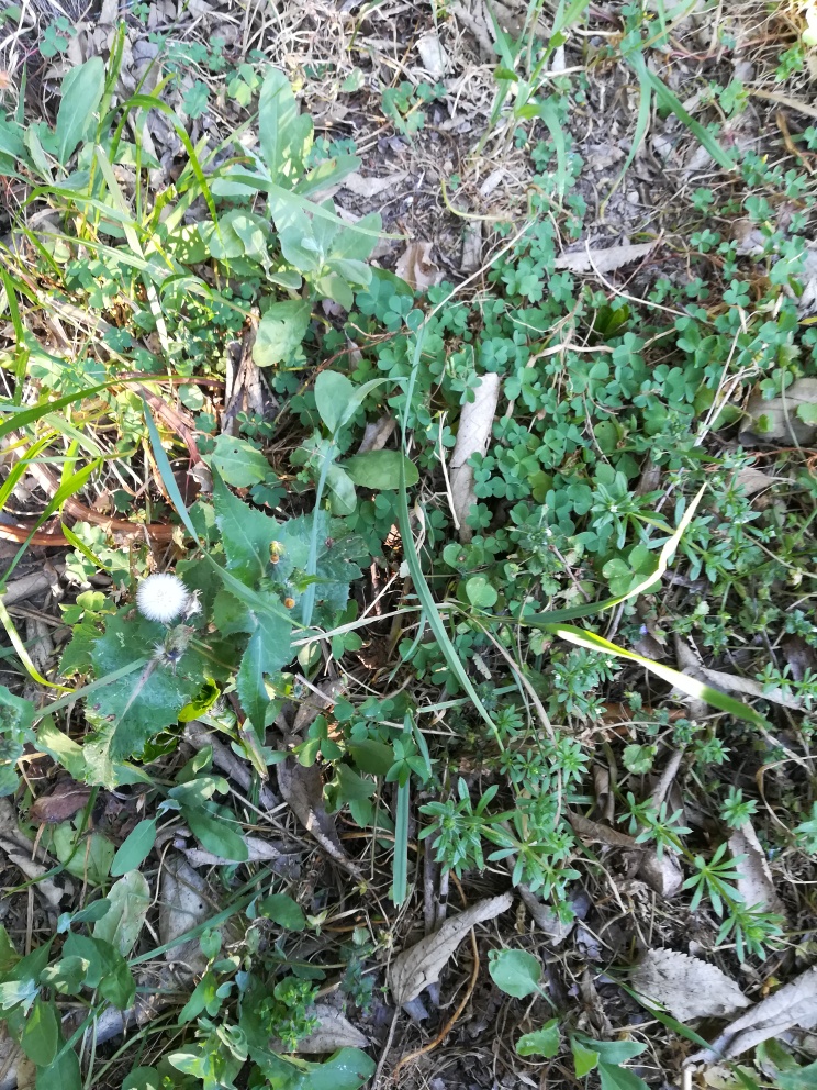 Annexe 14.04.2020.jpg