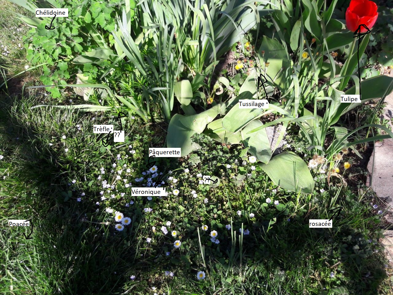 Annexe biodiversité.jpg